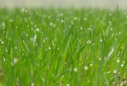 福鹿会·(中国F6)官网-给您最着实的优惠